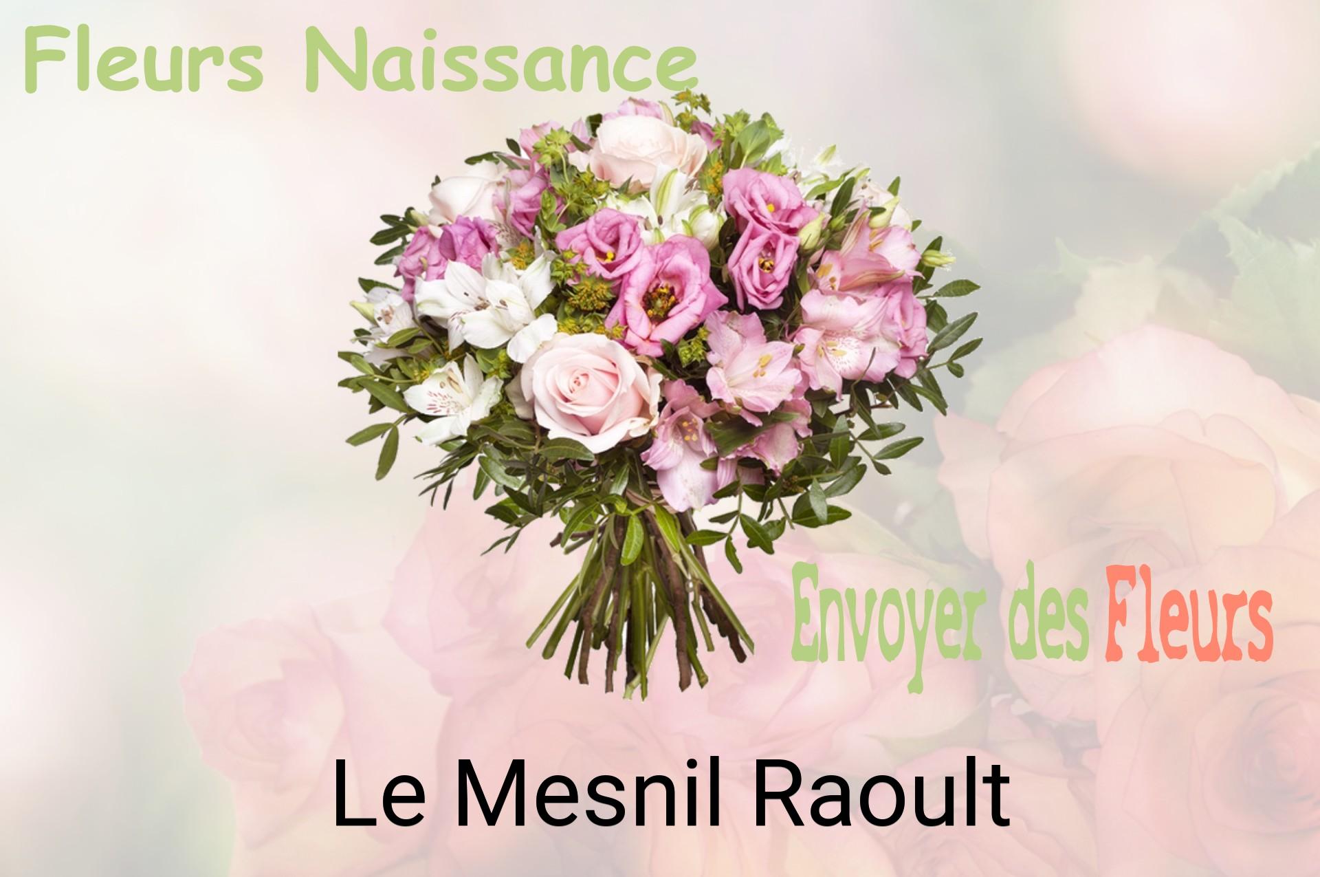 Bouquet de fleurs de naissance livré à Le Mesnil-Raoult